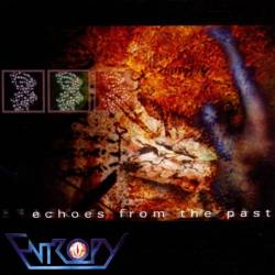 Entropy (NL) : Echoes from the Past